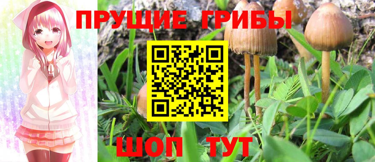 Каннабис Кинешма