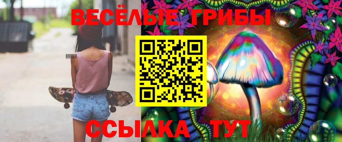 дарнет шоп  Псилоцибиновые грибы GOLDEN TEACHER  Вход с VPN  Кинешма 