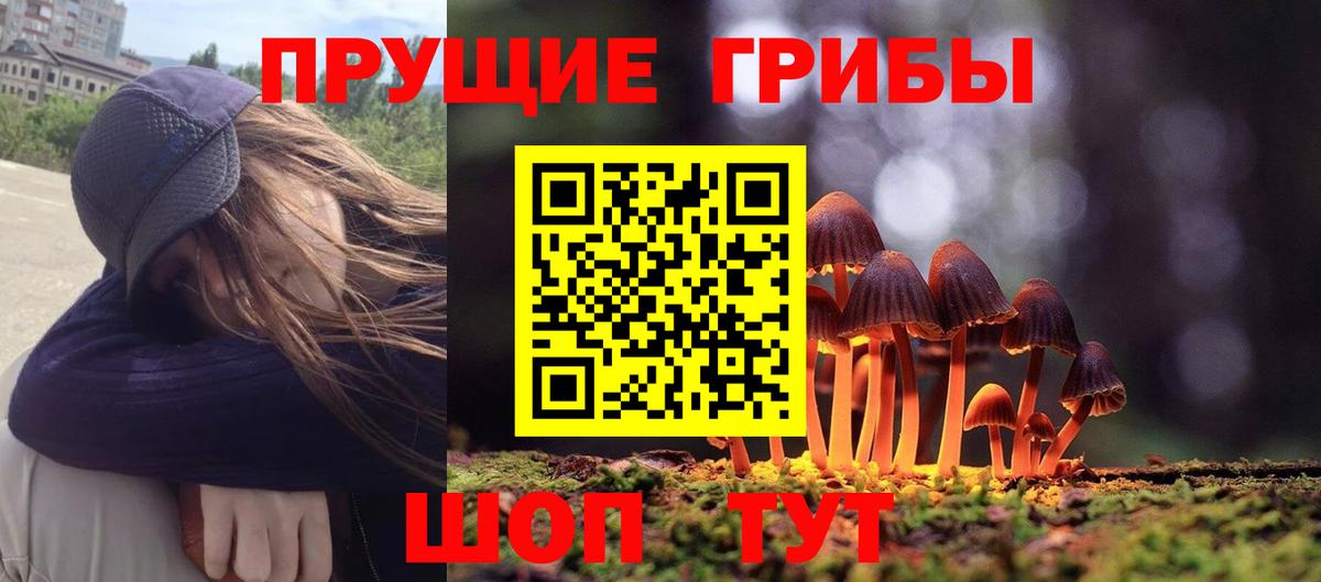 Псилоцибиновые грибы GOLDEN TEACHER  наркотики  Кинешма 