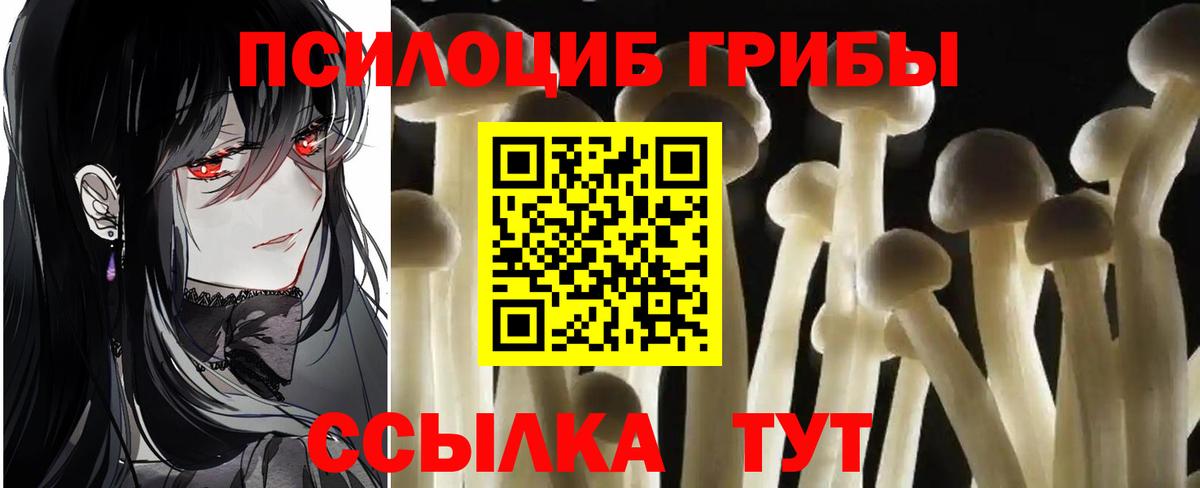 Галлюциногенные грибы мицелий Кинешма