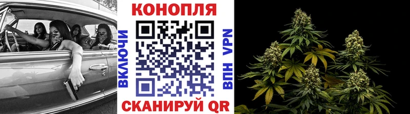 Каннабис Amnesia  наркошоп  Кинешма 